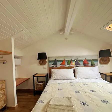 Mansard Ferret Charming House Centro * Αλγκέρο